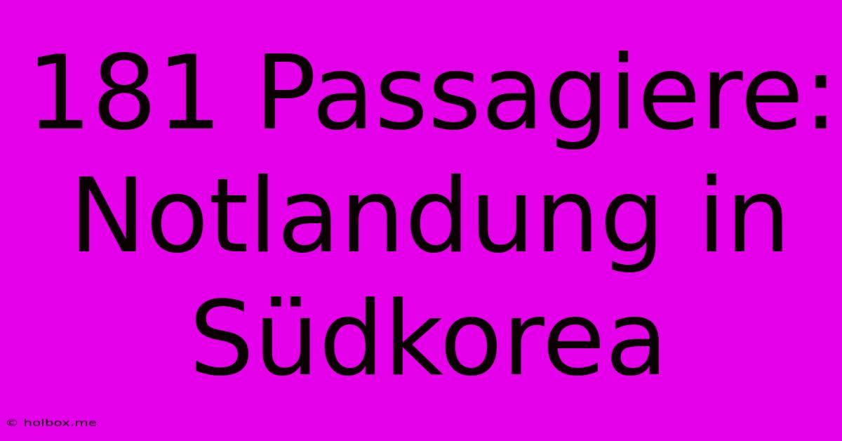 181 Passagiere: Notlandung In Südkorea