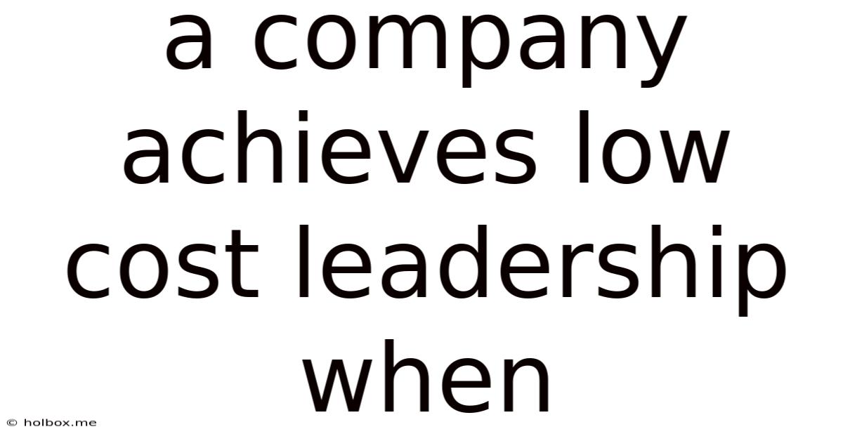 A Company Achieves Low Cost Leadership When