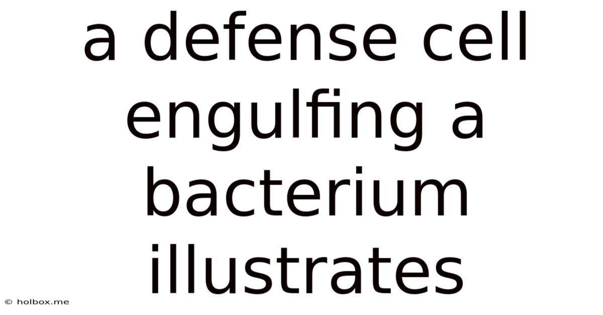 A Defense Cell Engulfing A Bacterium Illustrates