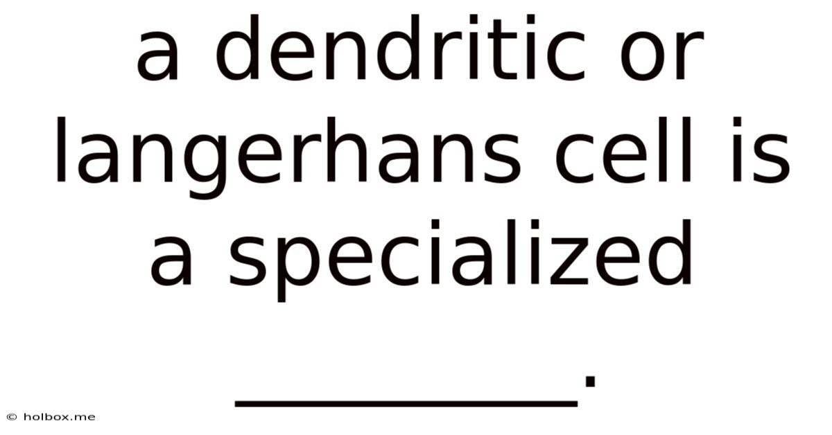 A Dendritic Or Langerhans Cell Is A Specialized ________.