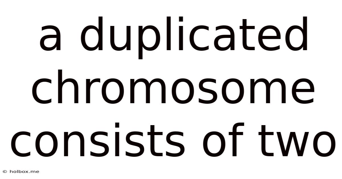A Duplicated Chromosome Consists Of Two