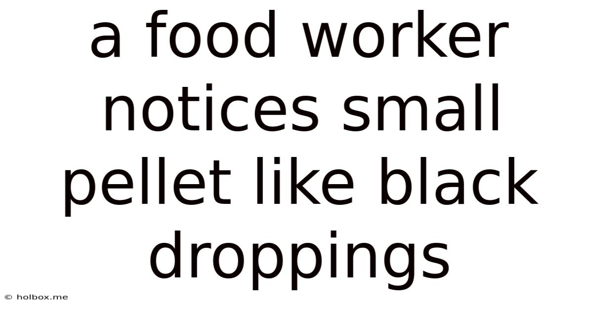A Food Worker Notices Small Pellet Like Black Droppings