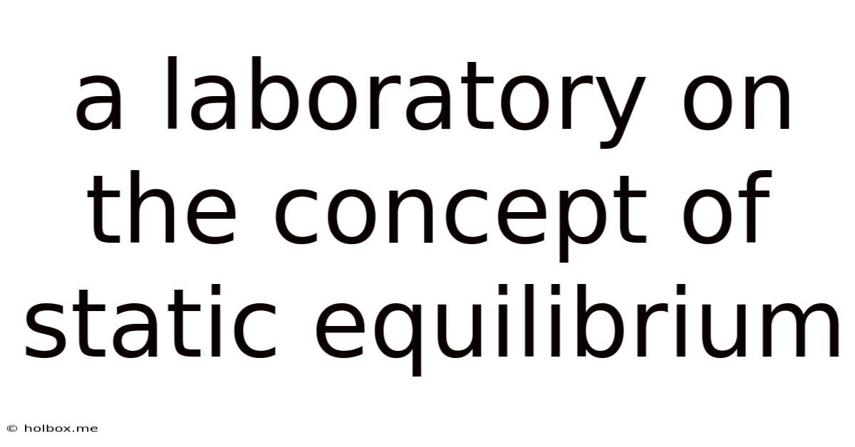 A Laboratory On The Concept Of Static Equilibrium