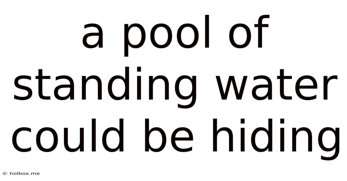 A Pool Of Standing Water Could Be Hiding