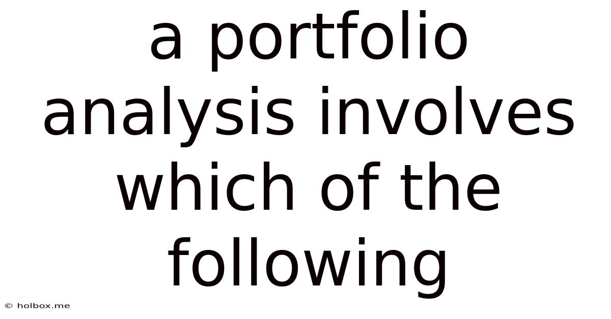 A Portfolio Analysis Involves Which Of The Following