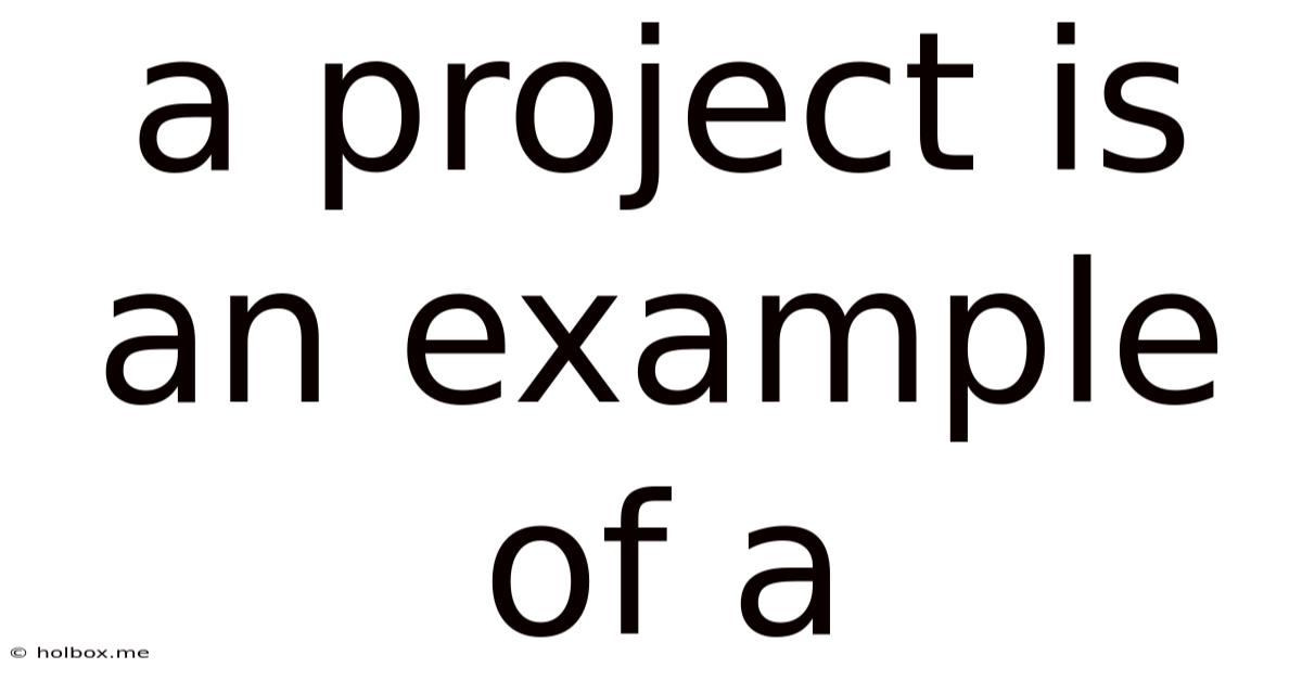 A Project Is An Example Of A