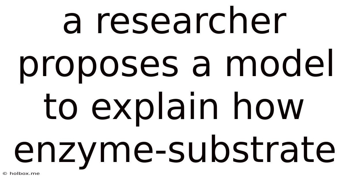 A Researcher Proposes A Model To Explain How Enzyme-substrate