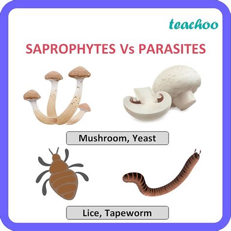 A Saprobe Differs From A Parasite In That