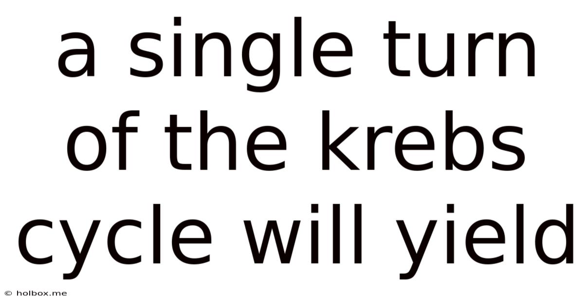 A Single Turn Of The Krebs Cycle Will Yield