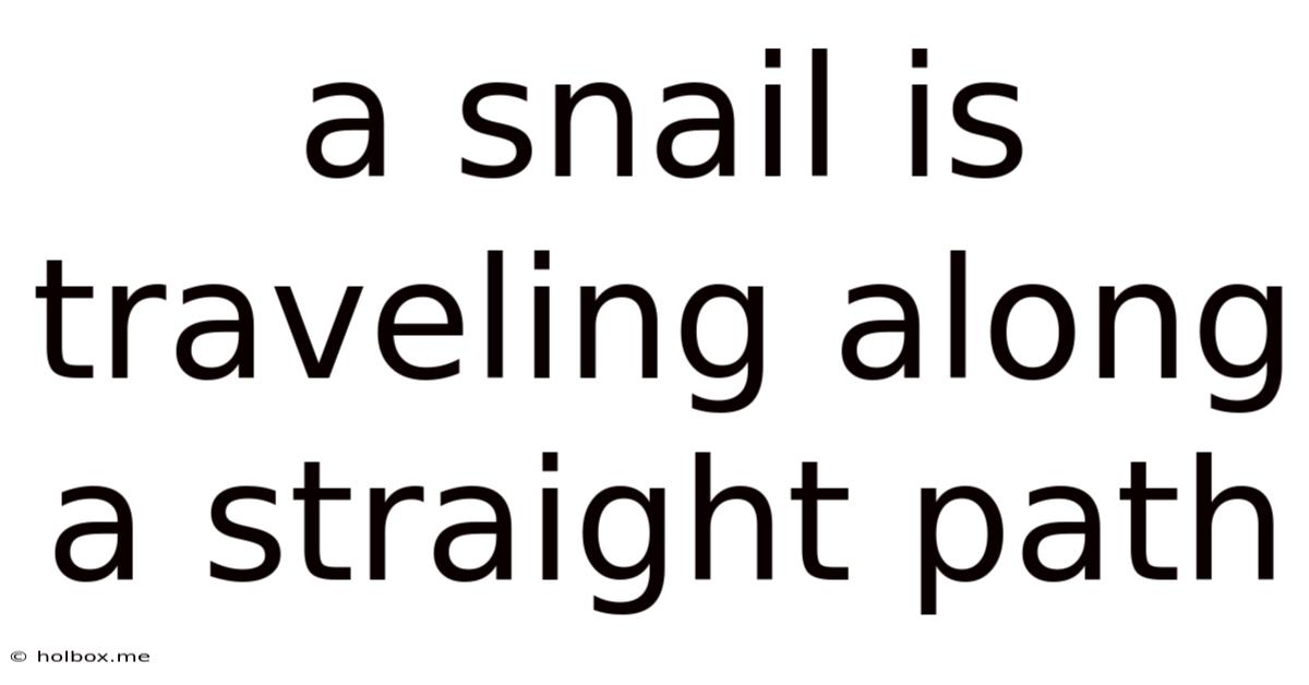 A Snail Is Traveling Along A Straight Path