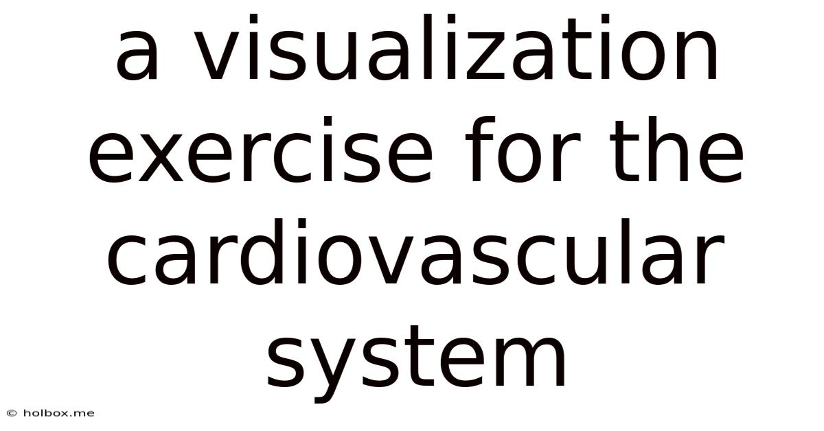 A Visualization Exercise For The Cardiovascular System