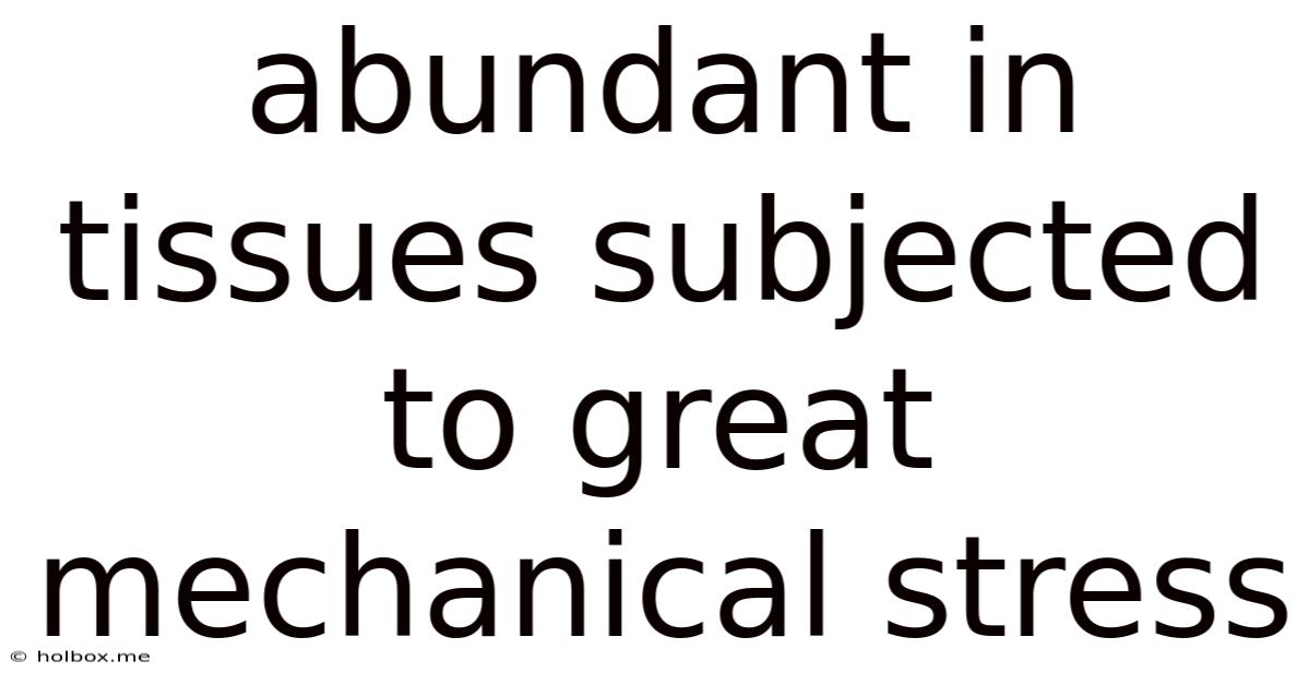 Abundant In Tissues Subjected To Great Mechanical Stress