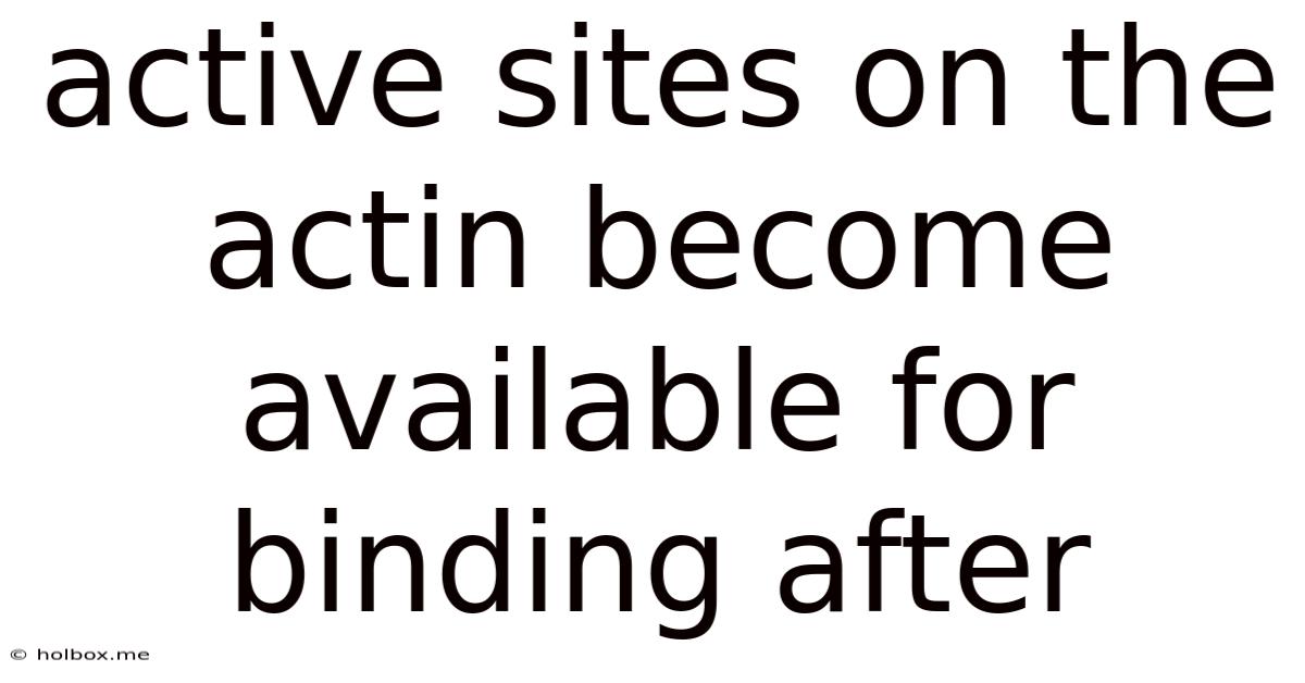 Active Sites On The Actin Become Available For Binding After