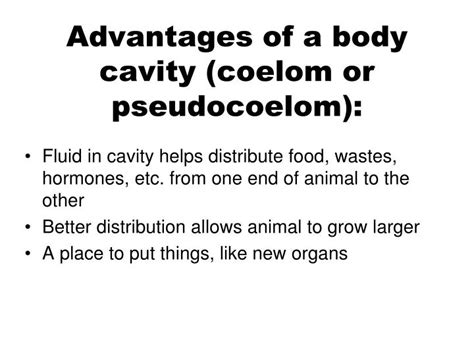 Advantages Of A Body Cavity Include