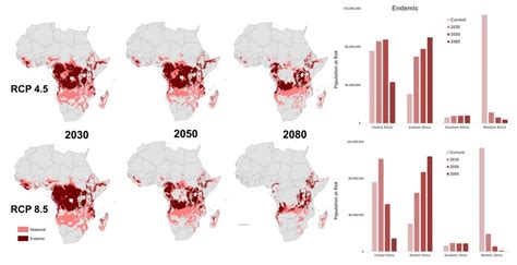 After Malaria Is Cured The Frequency