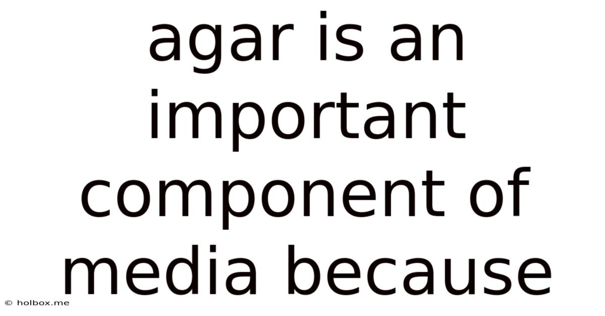 Agar Is An Important Component Of Media Because