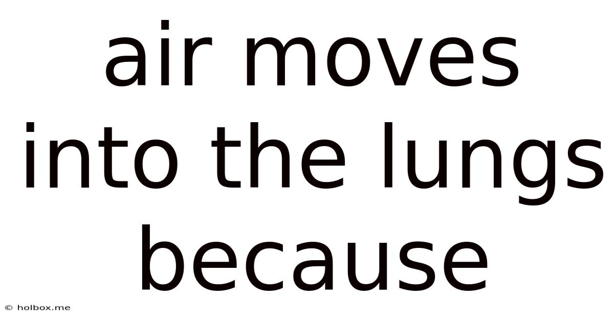 Air Moves Into The Lungs Because