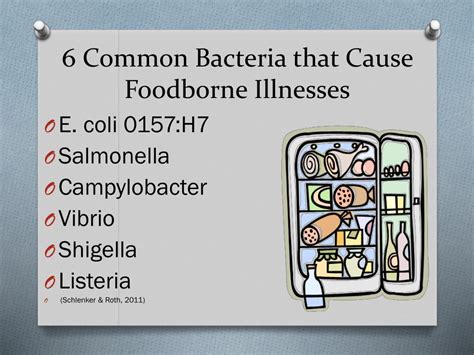 All Of The Following Bacteria Can Cause Foodborne Illness Except