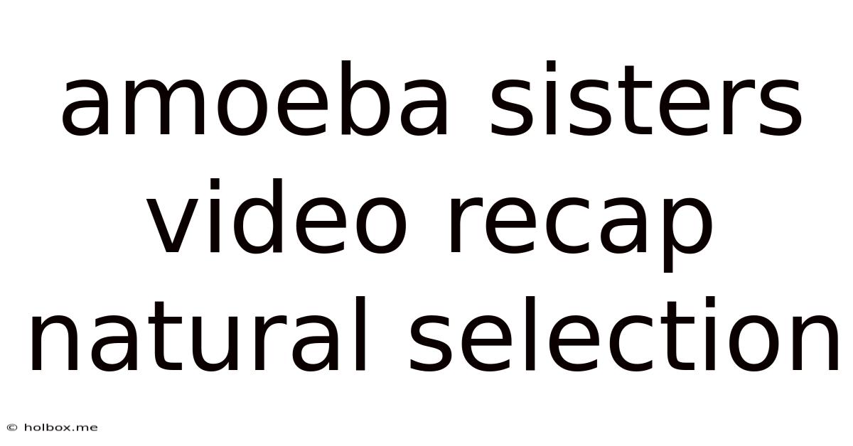 Amoeba Sisters Video Recap Natural Selection