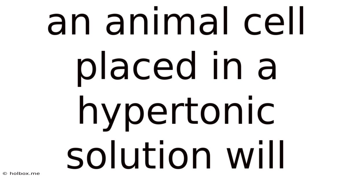 An Animal Cell Placed In A Hypertonic Solution Will