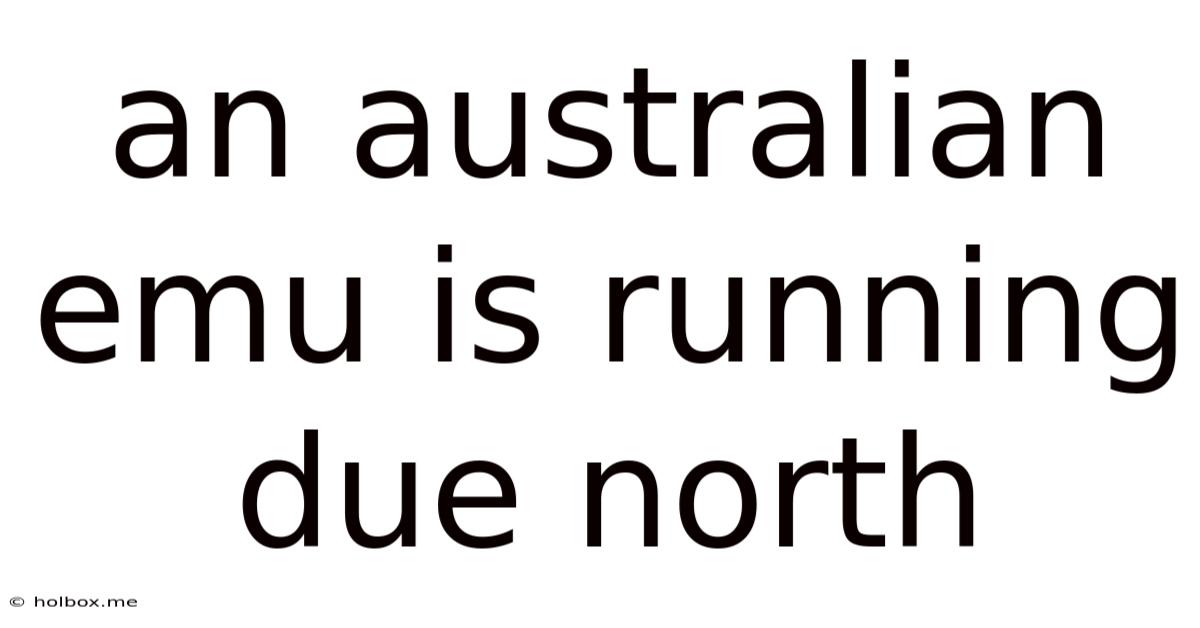 An Australian Emu Is Running Due North