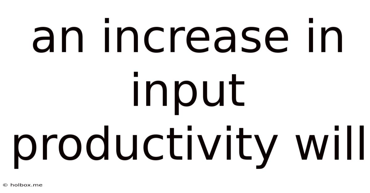 An Increase In Input Productivity Will