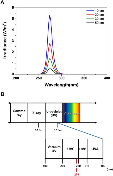 An Led With Total Power Emits Uv Light Of Wavelength