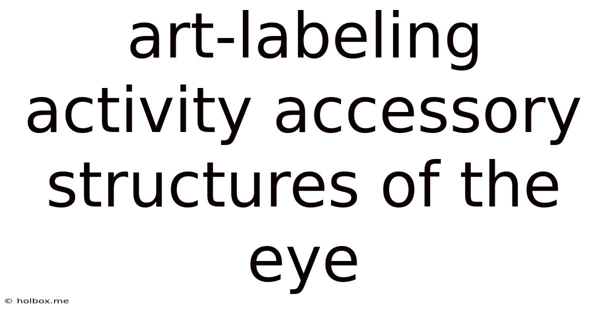 Art-labeling Activity Accessory Structures Of The Eye