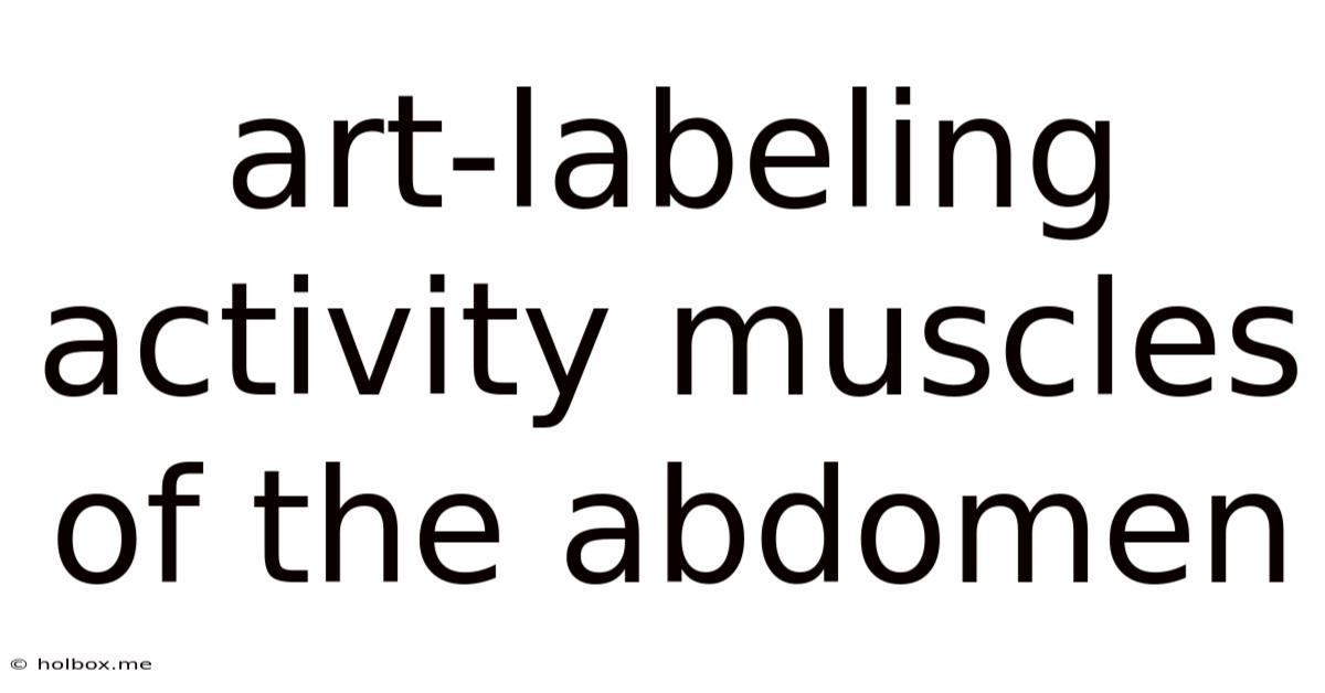 Art-labeling Activity Muscles Of The Abdomen