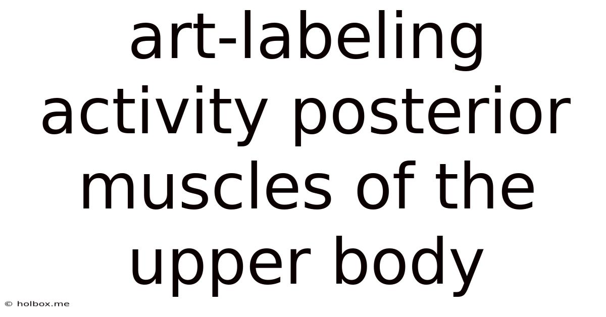 Art-labeling Activity Posterior Muscles Of The Upper Body