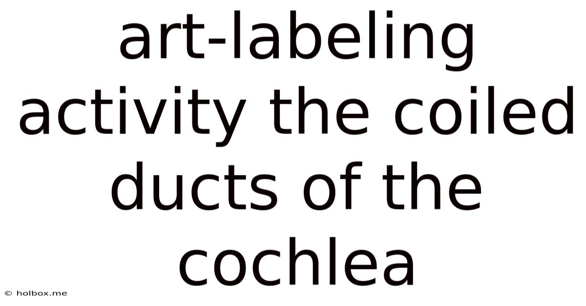 Art-labeling Activity The Coiled Ducts Of The Cochlea