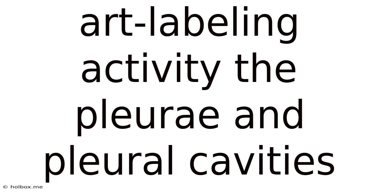 Art-labeling Activity The Pleurae And Pleural Cavities