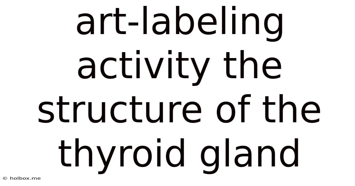 Art-labeling Activity The Structure Of The Thyroid Gland