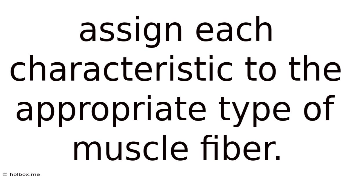 Assign Each Characteristic To The Appropriate Type Of Muscle Fiber.