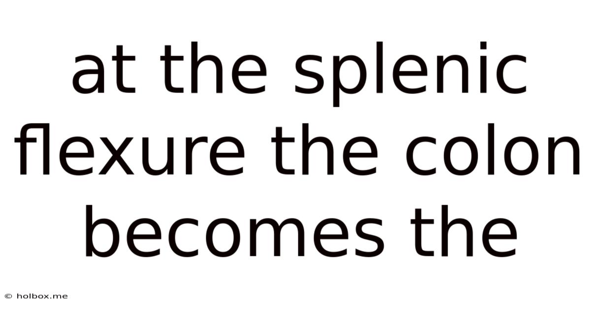 At The Splenic Flexure The Colon Becomes The
