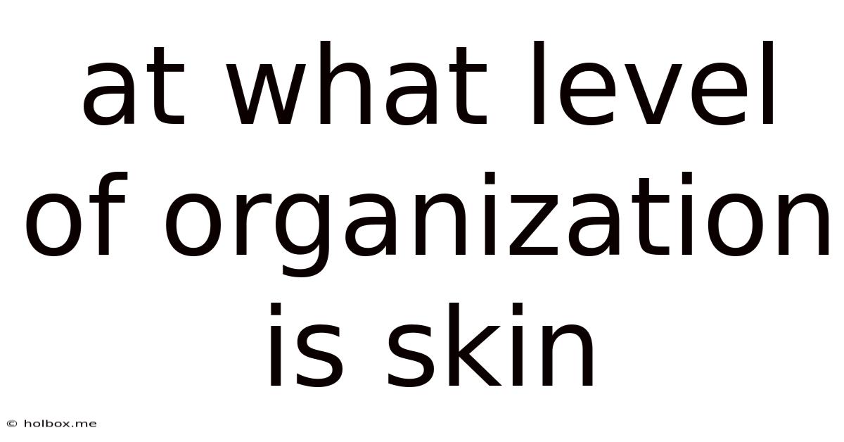 At What Level Of Organization Is Skin