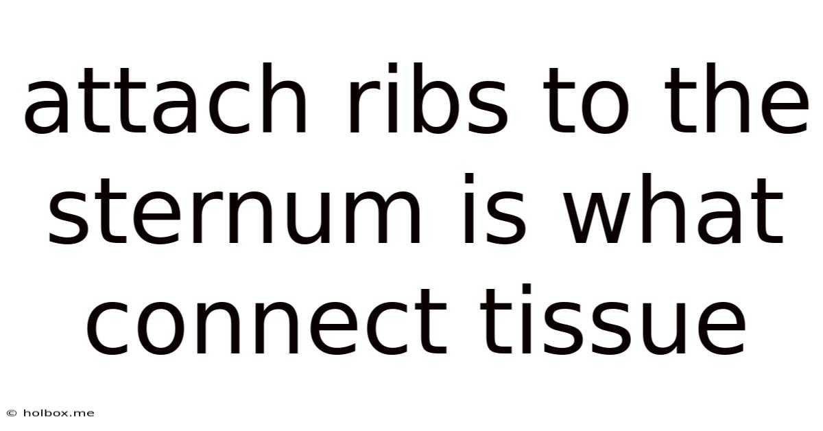 Attach Ribs To The Sternum Is What Connect Tissue