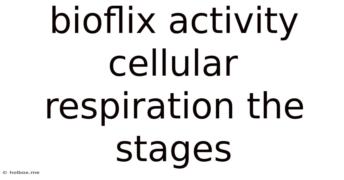 Bioflix Activity Cellular Respiration The Stages