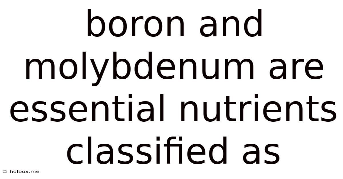 Boron And Molybdenum Are Essential Nutrients Classified As