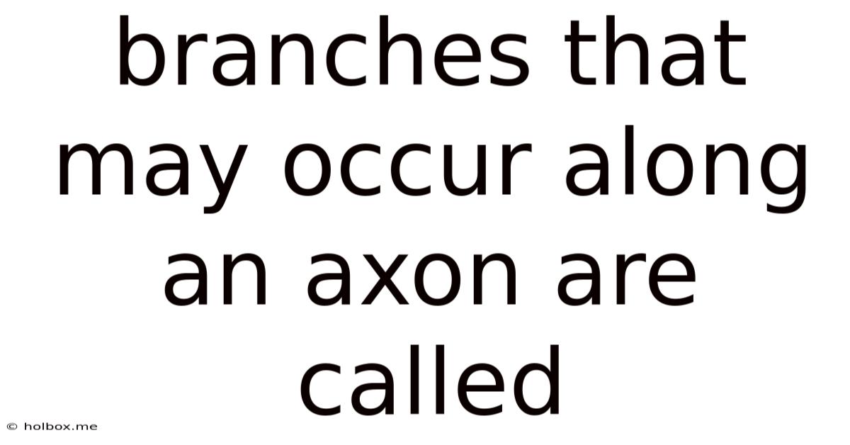 Branches That May Occur Along An Axon Are Called