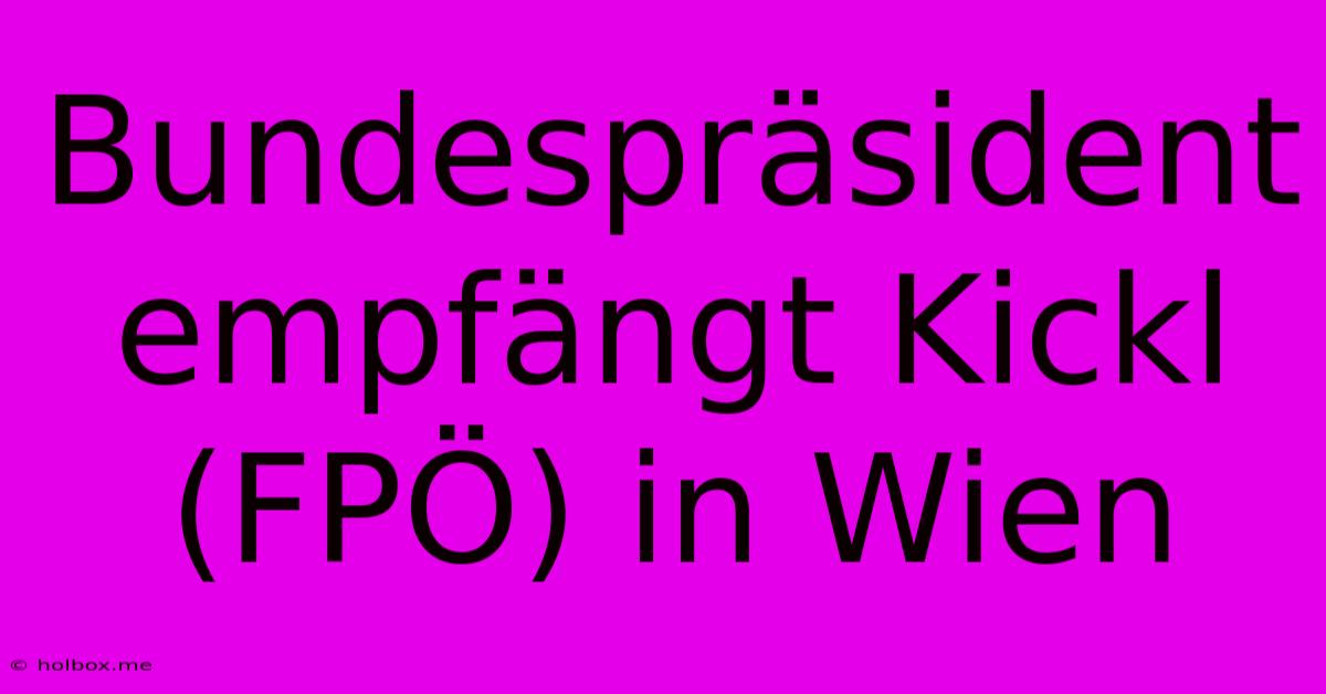 Bundespräsident Empfängt Kickl (FPÖ) In Wien