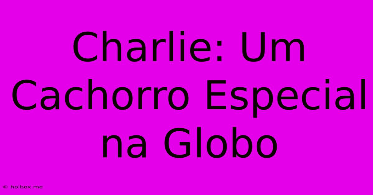 Charlie: Um Cachorro Especial Na Globo