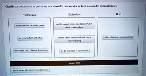 Classify The Descriptions As Pertaining To Nucleosides