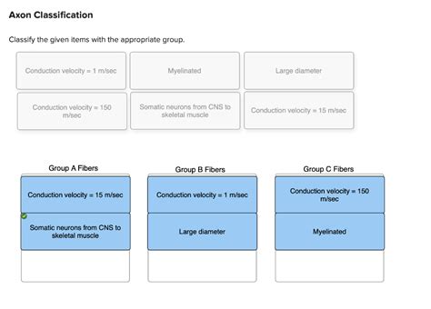 Classify The Given Items With The Appropriate Group.