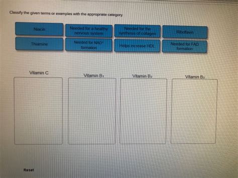 Classify The Given Terms Or Examples With The Appropriate Category.