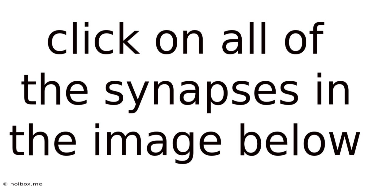 Click On All Of The Synapses In The Image Below