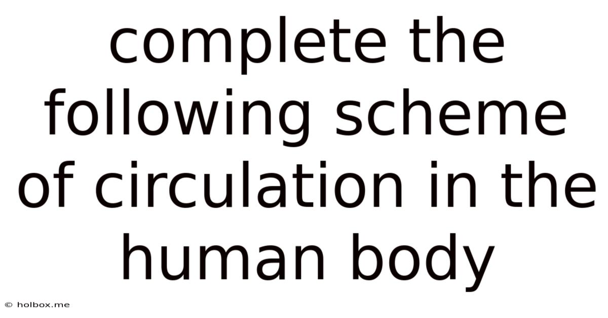 Complete The Following Scheme Of Circulation In The Human Body