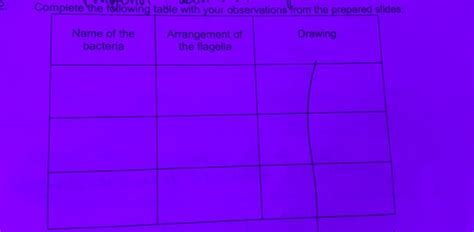 Complete The Following Table With Your Observations