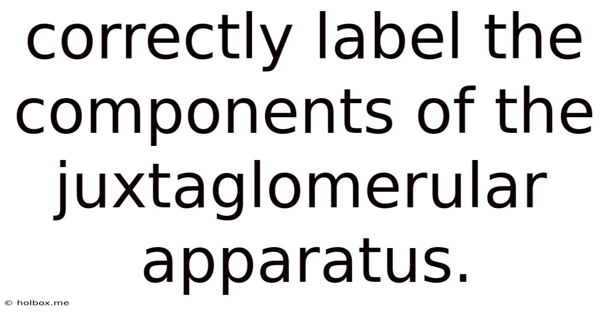 Correctly Label The Components Of The Juxtaglomerular Apparatus.