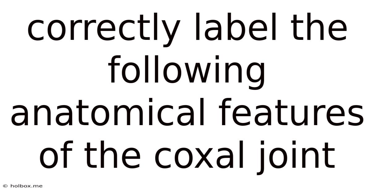Correctly Label The Following Anatomical Features Of The Coxal Joint